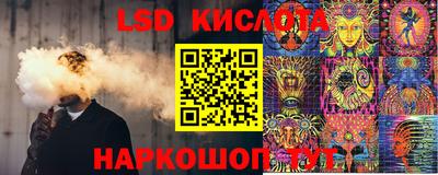 индика Вышний Волочёк
